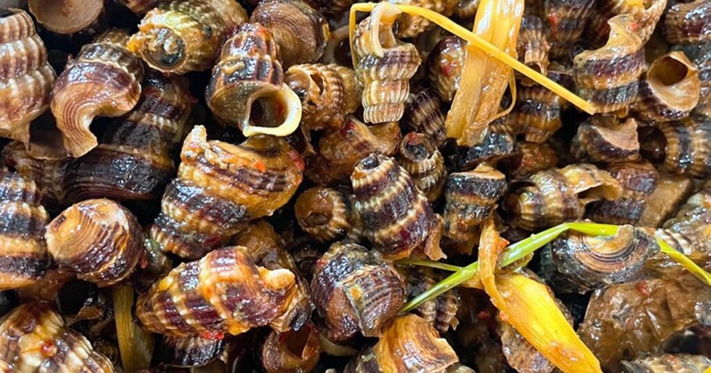 Berani Coba? Gulai Siput Sedot Ini Punya Rasa yang Bikin Ketagihan!