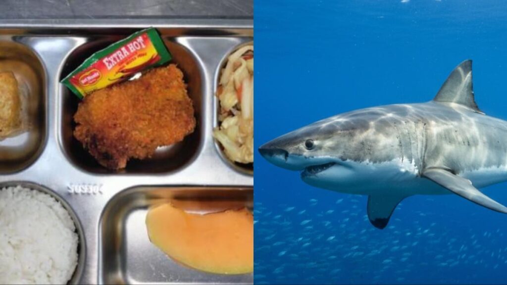 Sup Sirip Hiu Benarkah Makanan Mahal Ini Menyehatkan