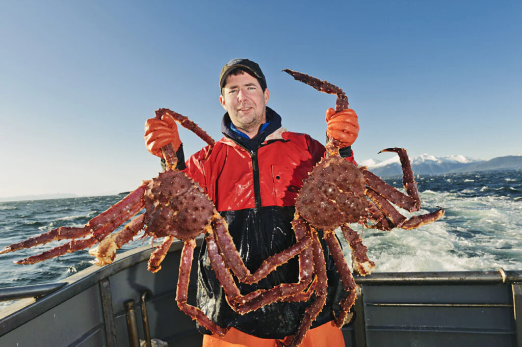 Ini Dia Alasan Alaskan King Crab Dijuluki Menu Laut Paling Mewah dan Terenak dari Alaska