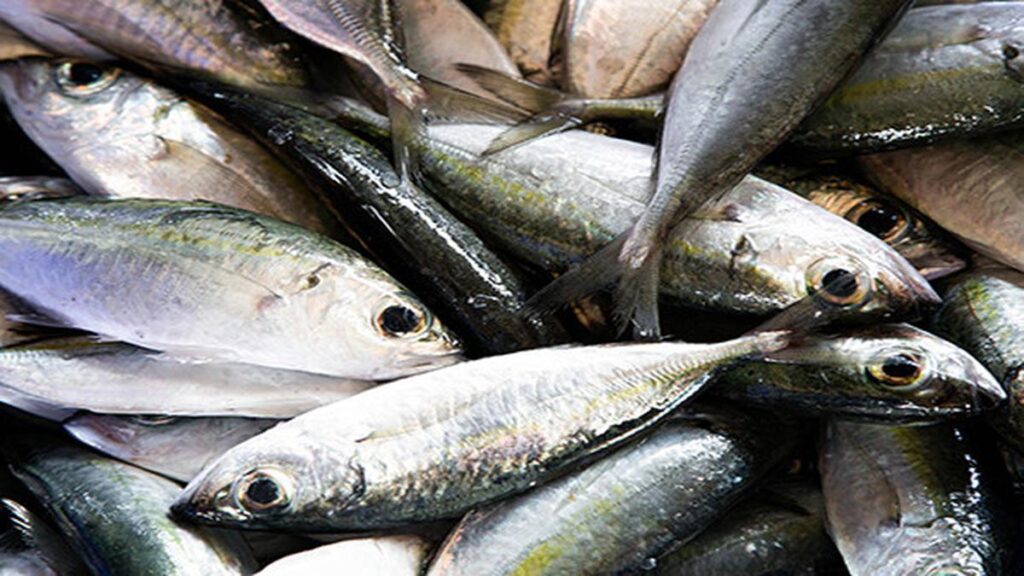 Lezatnya Bikin Nagih! Jelajahi Sulawesi Utara Lewat Ikan Woku Belanga yang Menggoda