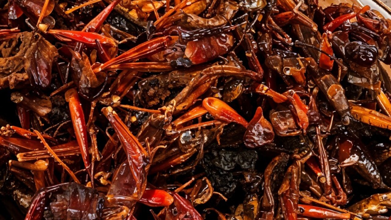Gurih Ekstrem! Walang Goreng Khas Gunung Kidul Bikin Banyak Orang Penasaran