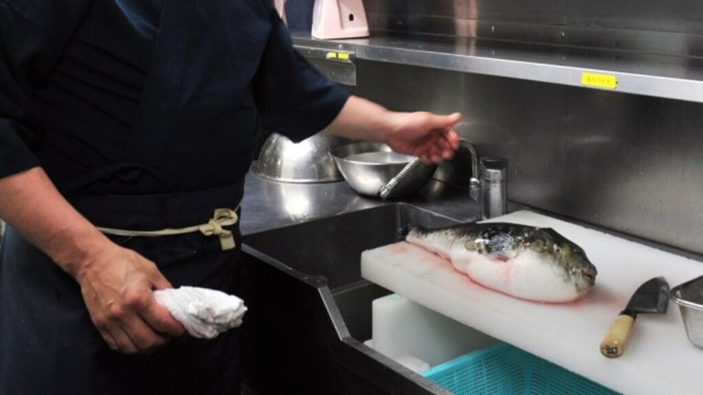 Lezat tapi Mematikan, Sajian Ikan Buntal Jepang Ini Bikin Deg-degan