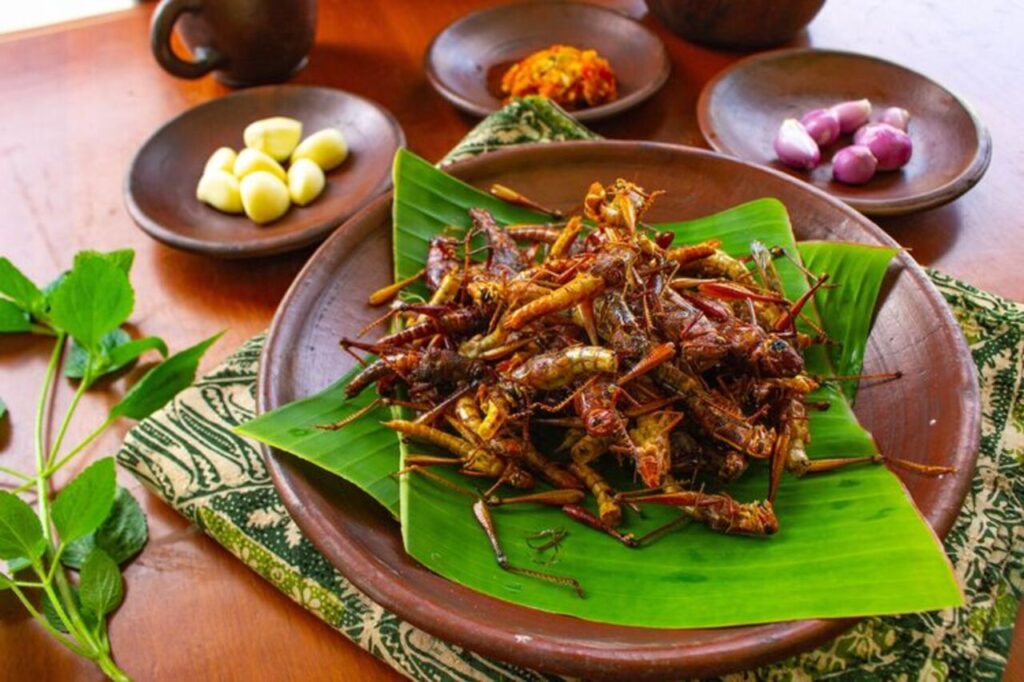 Gurih Ekstrem! Walang Goreng Khas Gunung Kidul Bikin Banyak Orang Penasaran